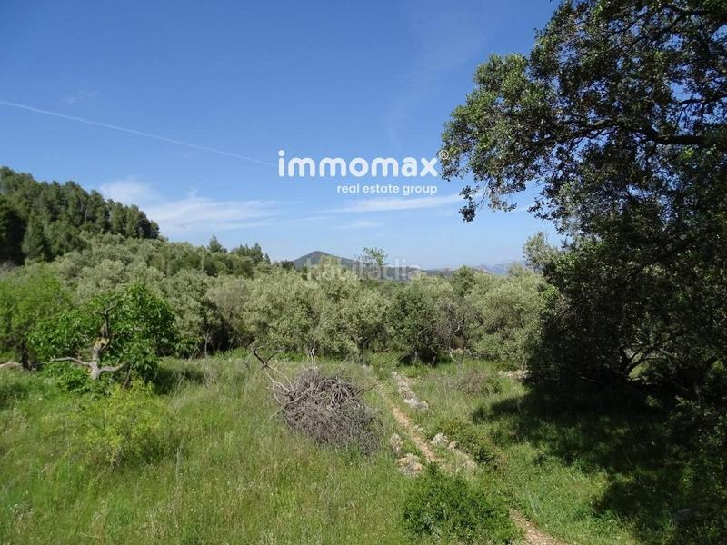 Foto 016bee19-b931-4707-941f-cc44f45b7d6e. Wohngrundstück in Paüls