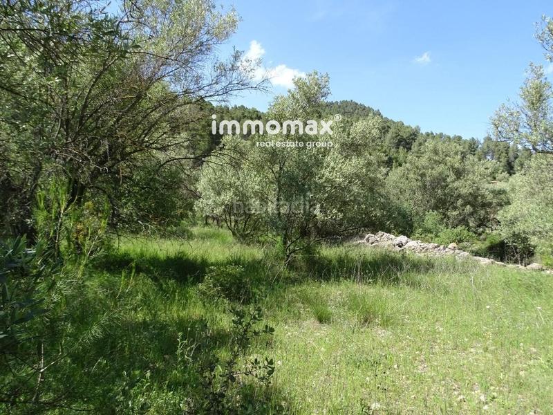 Foto 0e75bb21-f94c-481e-a592-5315cc77b3e7. Wohngrundstück in Paüls