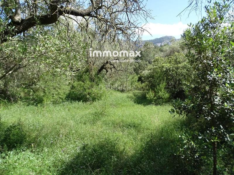 Foto 2aac3253-02e0-4621-94c4-d98f30131d14. Wohngrundstück in Paüls