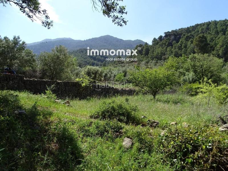 Foto 2d06a3be-454a-4eb0-884c-a4643c2b0013. Wohngrundstück in Paüls