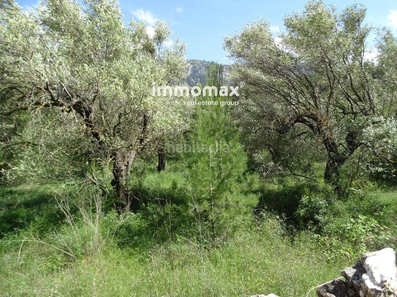 Foto 496408e4-57e4-4887-80b1-c675ad13f90c. Wohngrundstück in Paüls