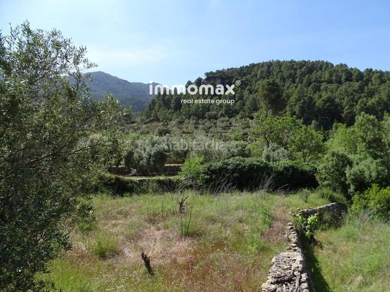 Foto 4d61cb47-2ec6-4260-94cf-dbf41842e76d. Wohngrundstück in Paüls