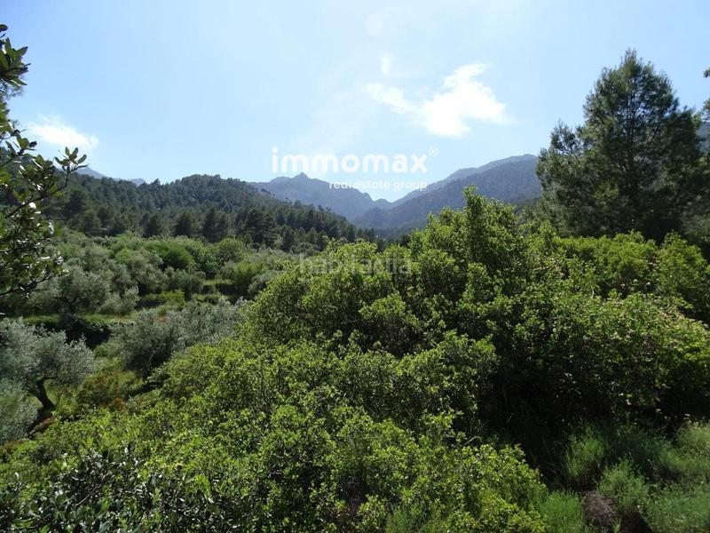 Foto 5ae14b4e-0e7f-43ed-ac3f-d4e409d89e46. Wohngrundstück in Paüls