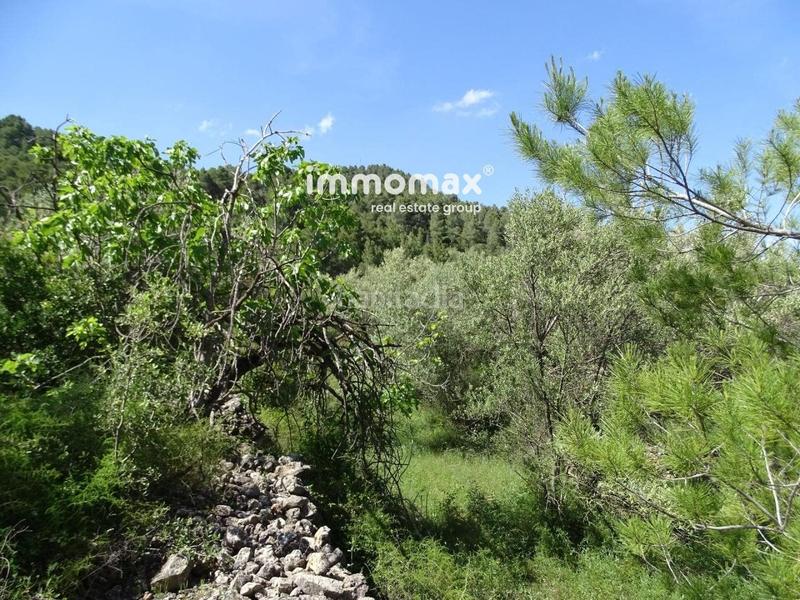 Foto 60a89488-3343-4ee1-85d3-09b8eed7d08e. Wohngrundstück in Paüls