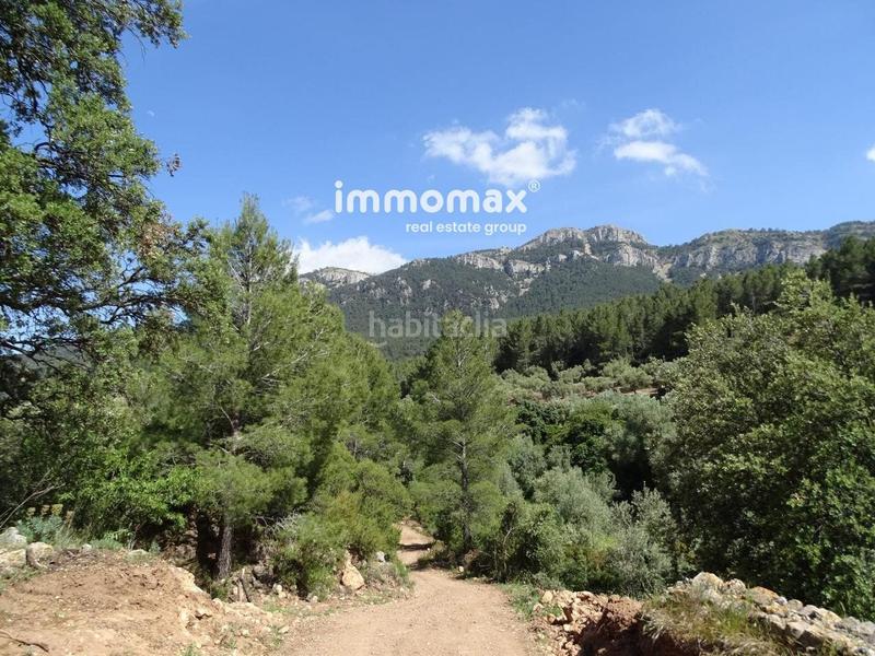 Foto 706521d3-c64b-43c4-bd49-4407e7defd4b. Wohngrundstück in Paüls