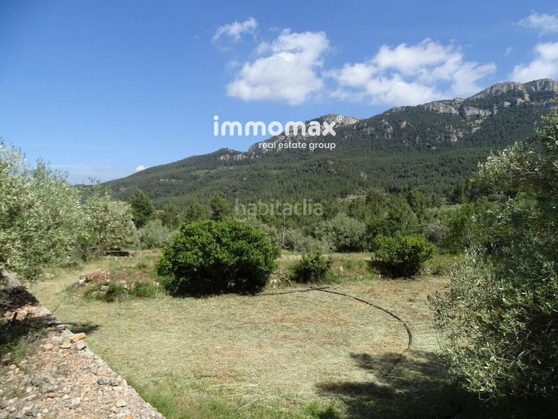 Foto 76289b36-f3a4-4ca3-b538-23ab891307b3. Wohngrundstück in Paüls