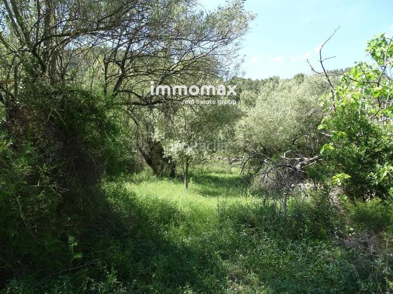 Foto 81b704b0-d38c-4f29-b272-cfd0c936223b. Wohngrundstück in Paüls