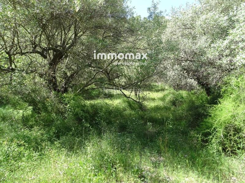 Foto 8dd2c122-0899-4903-ac76-a1c2fa423550. Wohngrundstück in Paüls