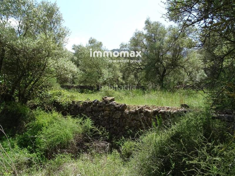 Foto 92a91b05-aba3-4971-92a1-0f3cac559fb4. Wohngrundstück in Paüls