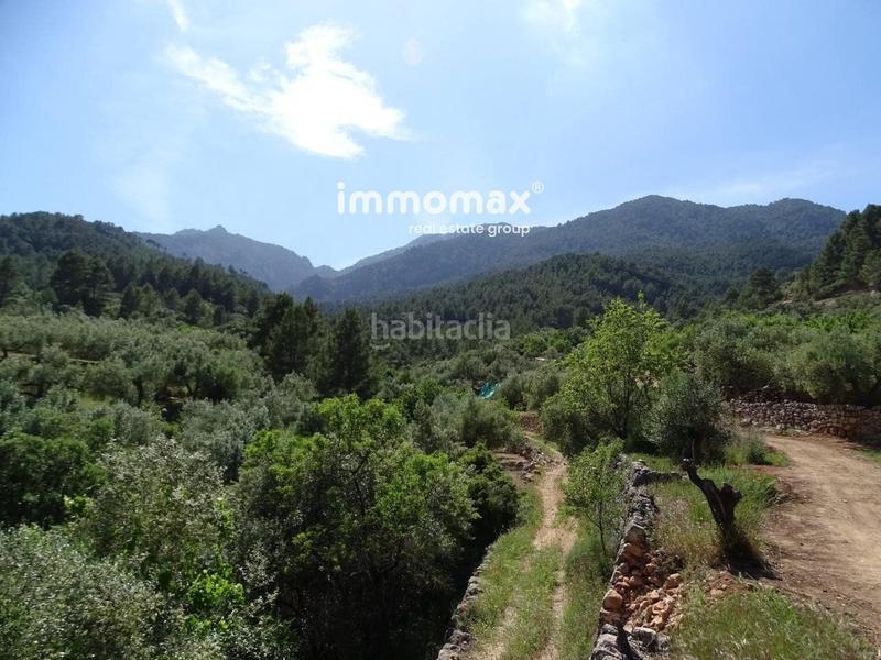 Foto 9cc7d380-a183-448e-9b30-c6a8c3703429. Wohngrundstück in Paüls