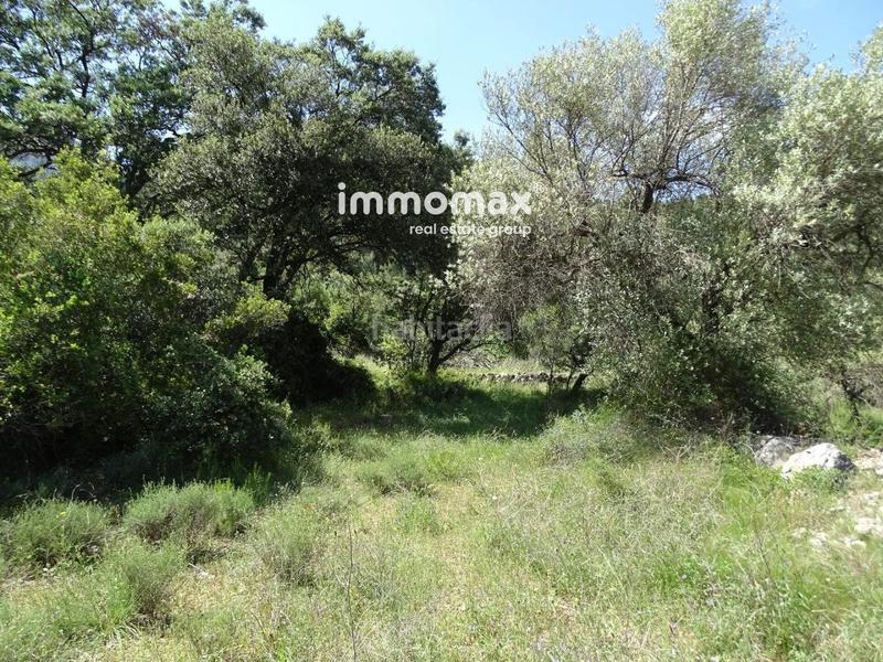 Foto bece1e2d-70d8-47f6-947f-94cedd6c6d33. Wohngrundstück in Paüls