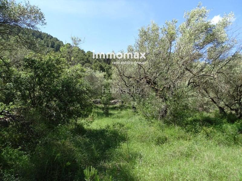 Foto c3c6f50a-4649-4b60-9adb-ff9ea3ba6afe. Wohngrundstück in Paüls