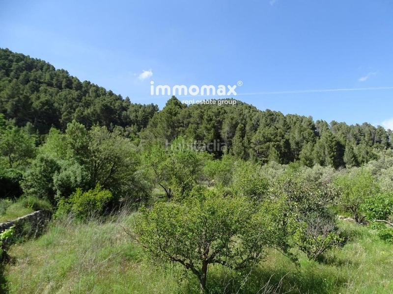 Foto de0e35ab-b9b8-4221-bf2a-e50e020ca044. Wohngrundstück in Paüls