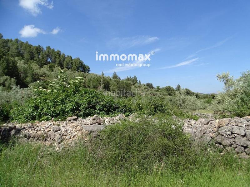 Foto f820c412-facb-4937-aae9-5e4afc370273. Wohngrundstück in Paüls