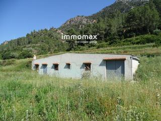 Residential Plot  Figueral. Finca en venta en benifallet cerca del rio ebro