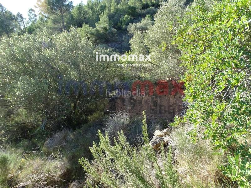 Foto 060f4631-eb2b-4930-a311-4d7cc35870f4. Terreno residencial finca rustica en venta en Xerta