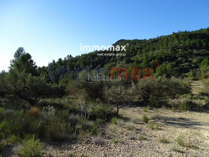Foto 435b2f42-3f62-4916-89eb-f764e034b023. Terreno residencial finca rustica en venta en Xerta