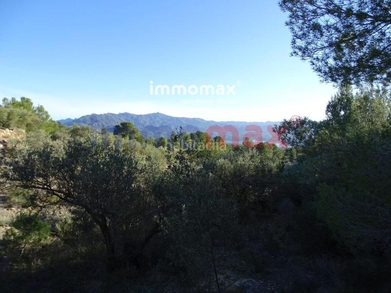 Foto 711a4a04-75e3-4223-a034-f038f07a4d1c. Terreno residencial finca rustica en venta en Xerta