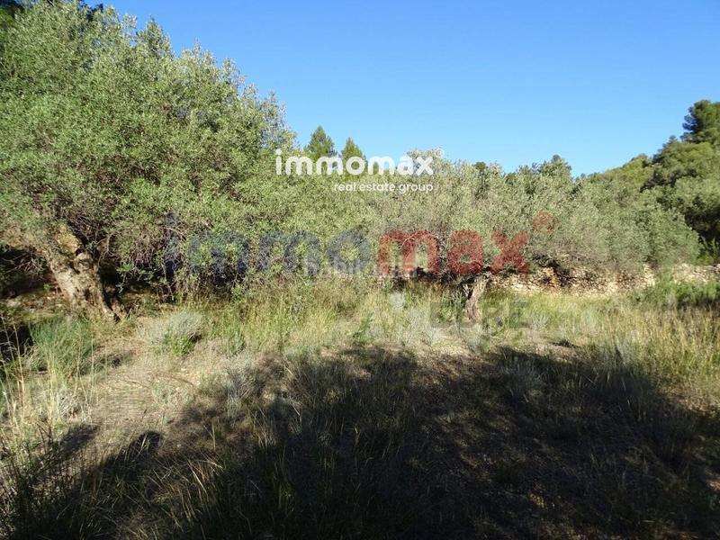 Foto 73148dfd-5adb-4932-9ced-c1f49677a047. Terreno residencial finca rustica en venta en Xerta