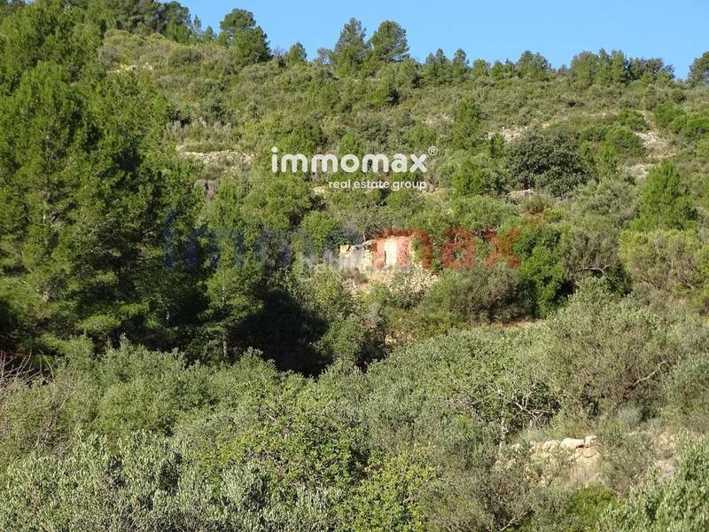 Foto 7cf17979-aaf0-4fef-9199-712ed789c736. Terreno residencial finca rustica en venta en Xerta