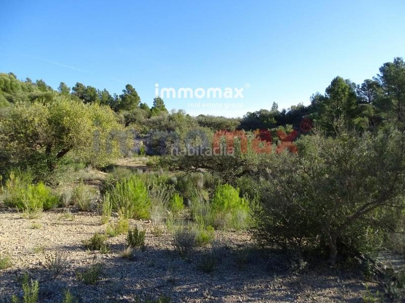 Foto 8e360411-1fb3-4e69-a0ff-9a8281e6d739. Terreno residencial finca rustica en venta en Xerta