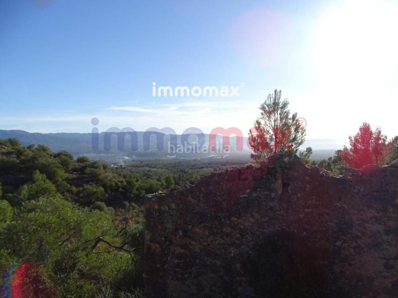 Foto 94da4234-9c06-4a1b-b13a-20b28d19912b. Terreno residencial finca rustica en venta en Xerta
