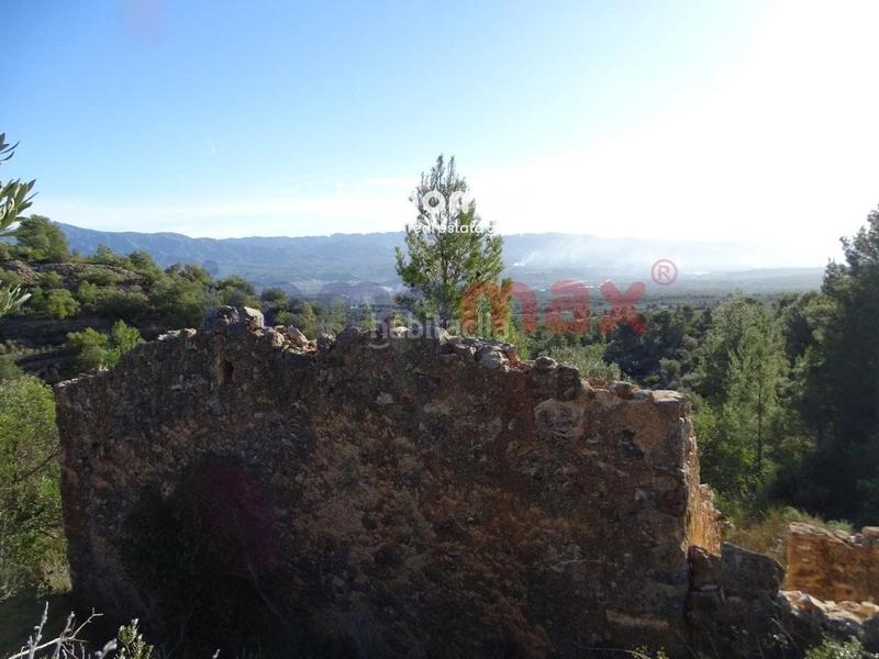 Foto 952e2679-5a9a-4677-b6bd-46d9e61da71d. Terreno residencial finca rustica en venta en Xerta