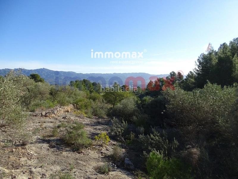Foto 9a4bcc8e-fe63-42b2-a19c-29ec34a4be2d. Terreno residencial finca rustica en venta en Xerta