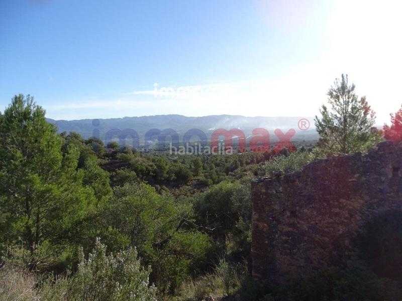 Foto 9ace4fc7-e61c-4d27-a664-bae964b1b80e. Terreno residencial finca rustica en venta en Xerta