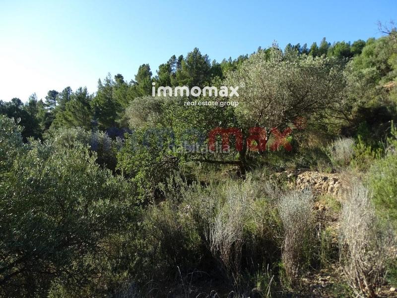 Foto a4db5609-6550-472a-81a1-680809efb25c. Terreno residencial finca rustica en venta en Xerta