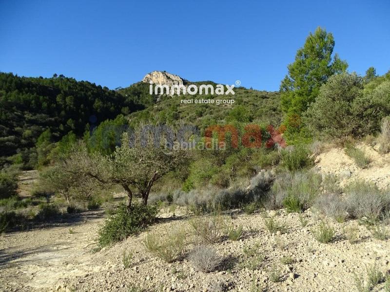 Foto aeca32eb-a968-4eb0-9d99-a9e9b8571e5f. Terreno residencial finca rustica en venta en Xerta