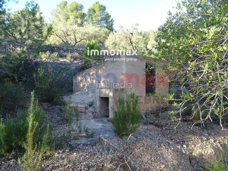 Foto b2d09d69-f213-49e1-9d84-19bf68dff379. Terreno residencial finca rustica en venta en Xerta