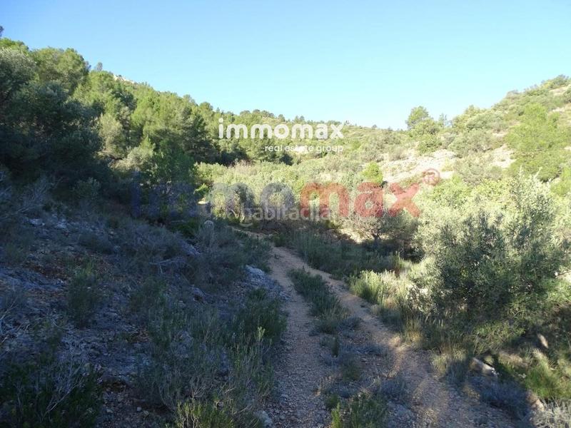 Foto b951e393-47fe-4f9b-91cd-4ecdfd9caff3. Terreno residencial finca rustica en venta en Xerta