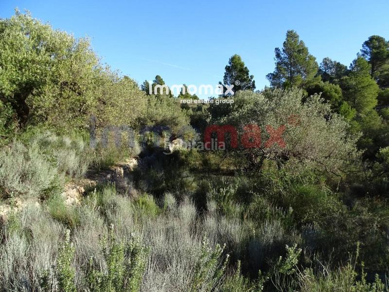 Foto cabea2e3-92b8-461d-bfa8-7a134b080eb8. Terreno residencial finca rustica en venta en Xerta