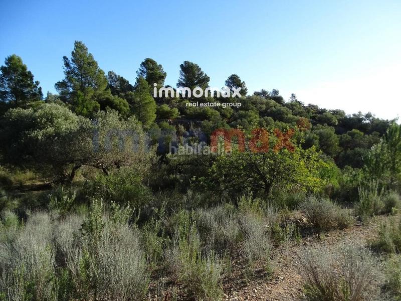 Foto d8226f2b-5a02-4eab-8bc1-b506c9b866e6. Terreno residencial finca rustica en venta en Xerta
