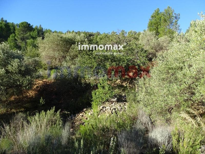 Foto dc50a6f8-913f-468f-a544-9bfb99059946. Terreno residencial finca rustica en venta en Xerta