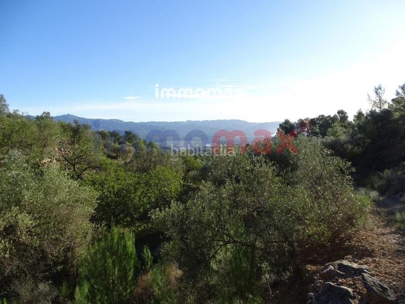 Foto e94c2e92-26ea-49d7-b979-56d4a2d8b626. Terreno residencial finca rustica en venta en Xerta
