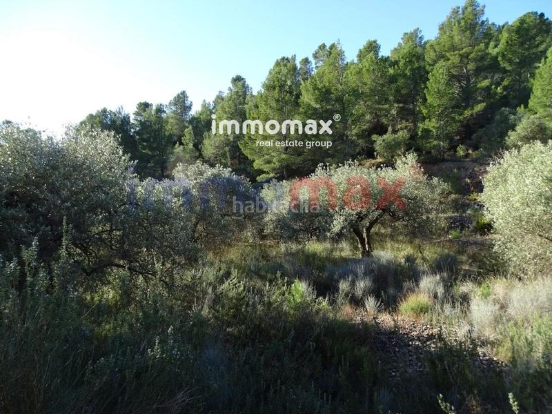 Foto f577229e-3c60-4cba-9a7b-37369f27c99a. Terreno residencial finca rustica en venta en Xerta