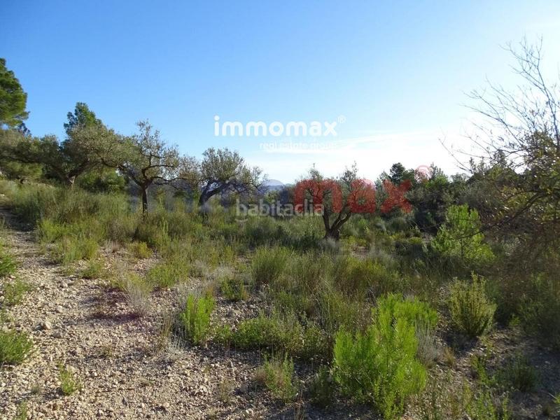 Foto f83ed1f0-af92-4db6-bb55-b2882f02e9ec. Terreno residencial finca rustica en venta en Xerta