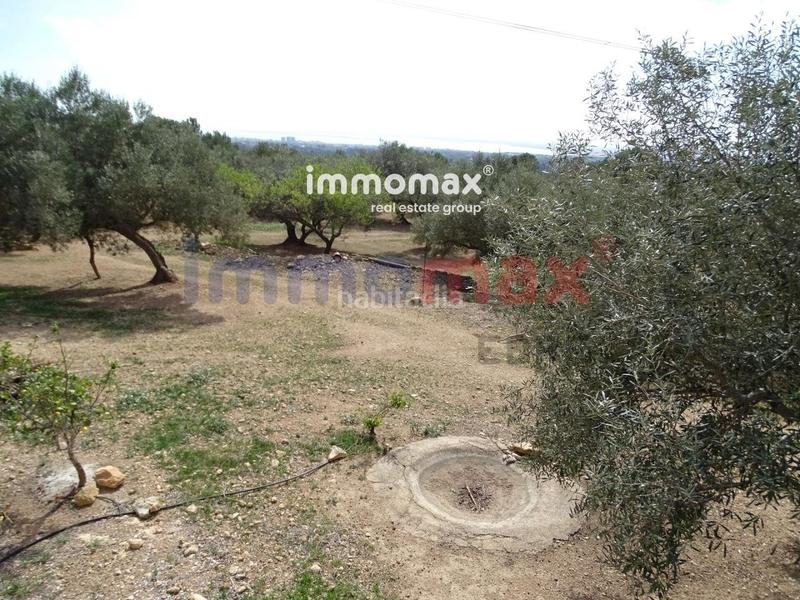 Foto 1ec01834-b350-4e5b-90b9-6cc56a6f3cb6. Terreny residencial a Ampolla (L´)