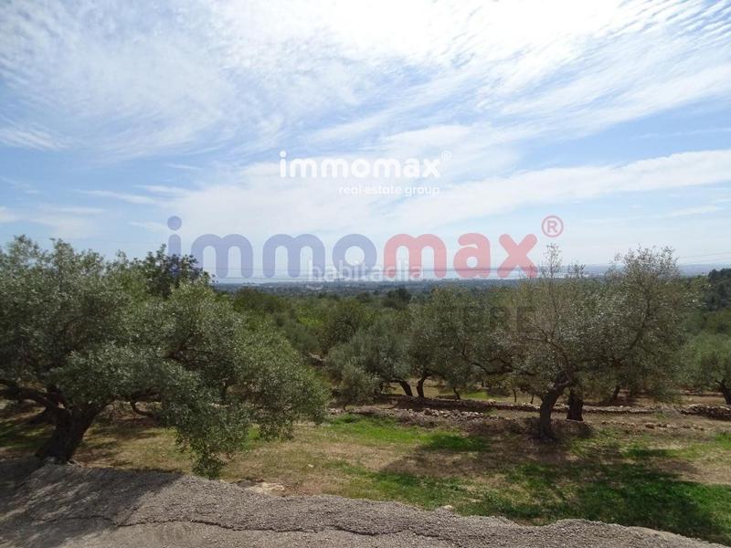 Foto 2afc55be-0f44-4a7f-ab88-65df7c5d2339. Terreny residencial a Ampolla (L´)