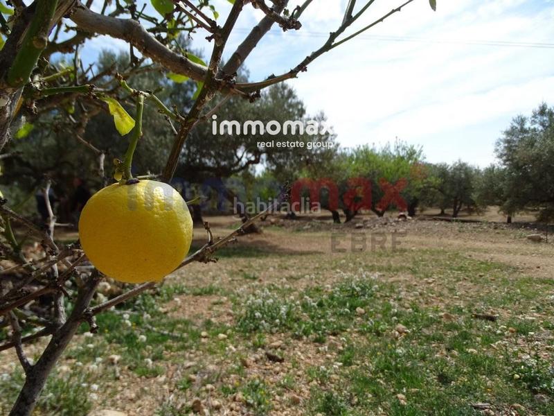 Foto 436b64d9-b326-4e9b-a679-8c1b34580710. Terreny residencial a Ampolla (L´)