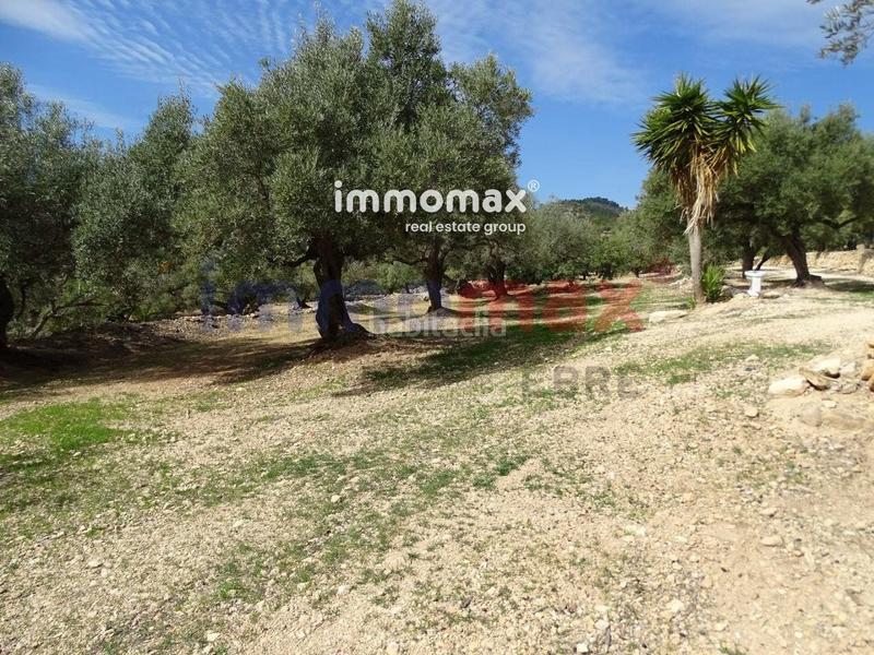 Foto 47262743-d84b-4746-afad-70f2ec7cee86. Terreny residencial a Ampolla (L´)