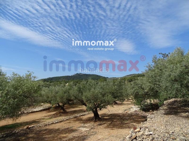 Foto 7835ed15-fe54-475e-b955-3b0f36c7cfb3. Terreny residencial a Ampolla (L´)