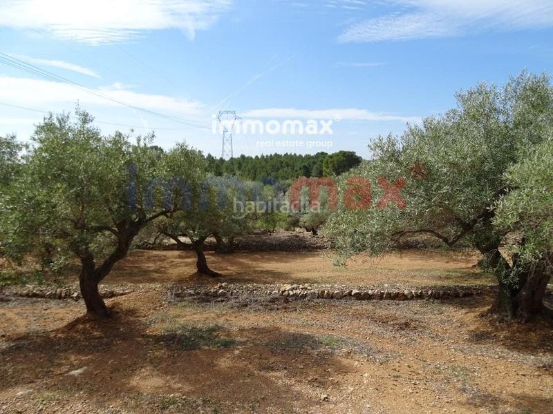 Foto a237ee31-dde6-42e7-9266-789b79f29c88. Terreny residencial a Ampolla (L´)