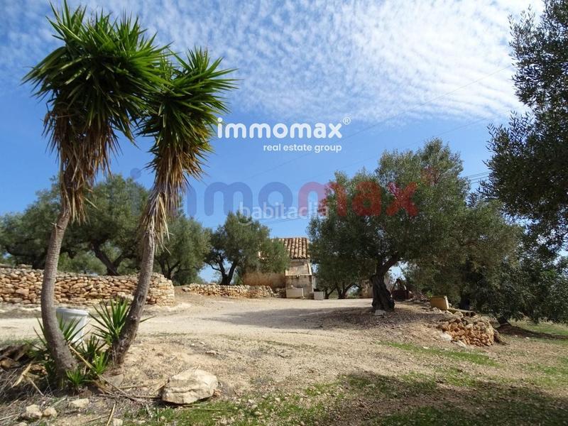 Foto a4bb1ef6-df9a-4f96-90ce-29c8b46691bc. Terreny residencial a Ampolla (L´)