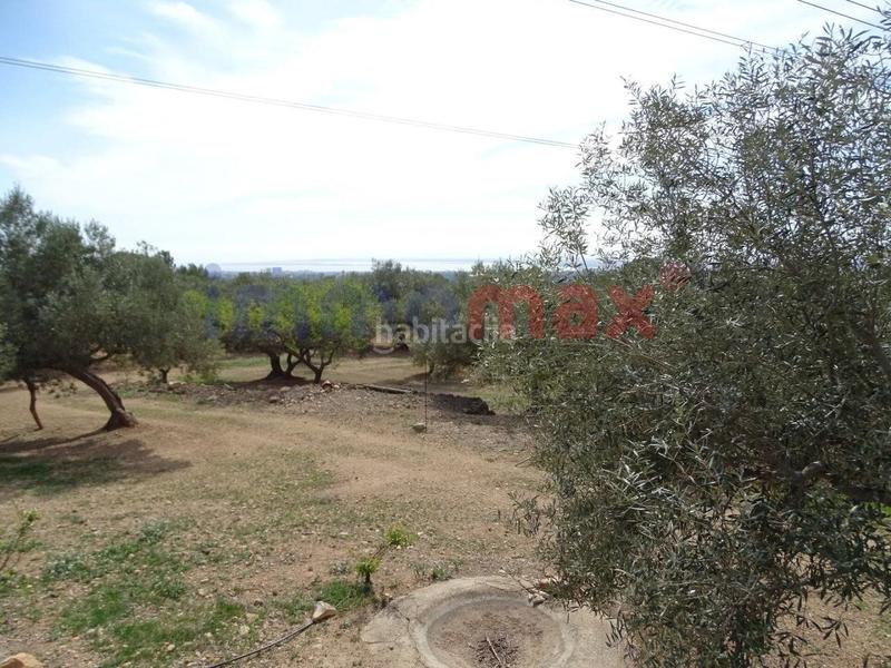 Foto cd233541-9f07-4b56-841f-f5dfe3b621a1. Terreny residencial a Ampolla (L´)