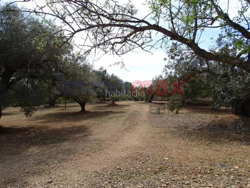 Foto d37acc88-37a0-4213-a0bb-b61aabddeee6. Terreny residencial a Ampolla (L´)