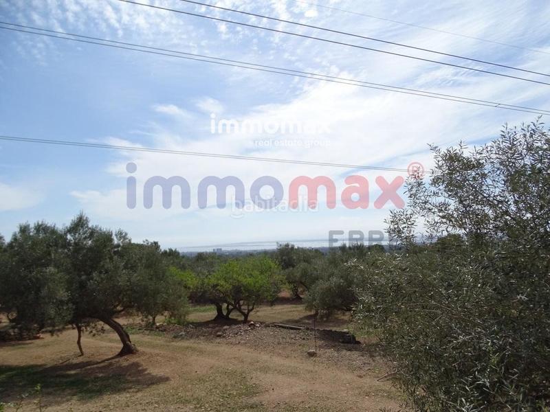 Foto de81d5b9-5bfe-4f35-a848-6388d478bacb. Terreny residencial a Ampolla (L´)