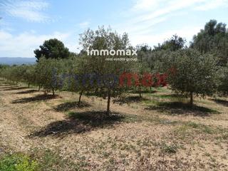 Wohngrundstück  63. Finca rustica en venta en tortosa
